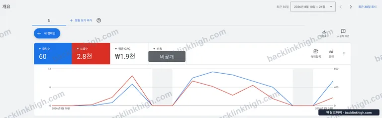 구글 애즈 계정 개요 화면 — 화면 표기 기준 클릭 60, 노출 2.8천, 평균 클릭당 단가 ₩1.9천. 총 집행액 칸은 비공개 처리
